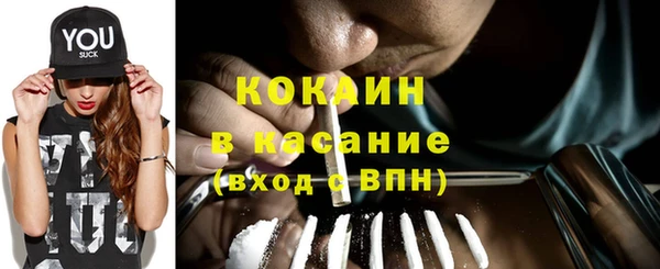 прущие грибы Абинск