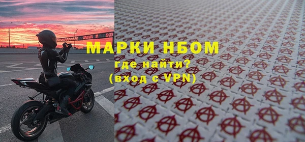 прущие грибы Абинск