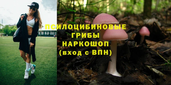 молекула духа Абдулино