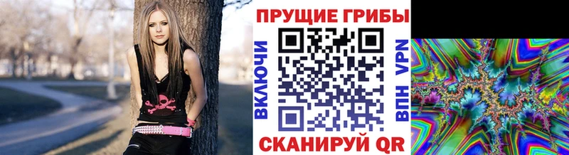 Псилоцибиновые грибы Psilocybe Зея